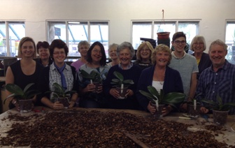 repotting at the orchid masterclass for beginners